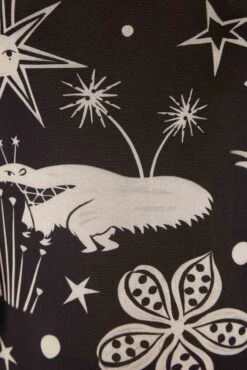 Black & White Cerrado Sky Tulle Blouse -Perfect Top Shop 308525 04